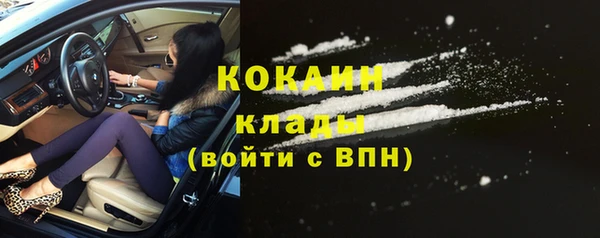 винт Вяземский
