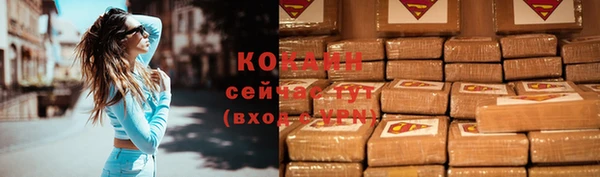 винт Вяземский