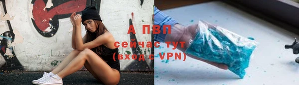 винт Вяземский