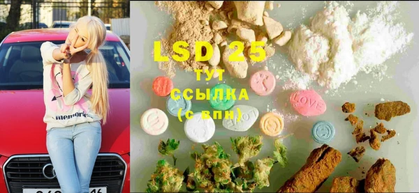 винт Вяземский
