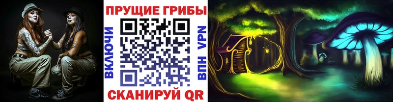 Купить закладки  Солнечногорск  Псилоцибиновые грибы Psilocybe 